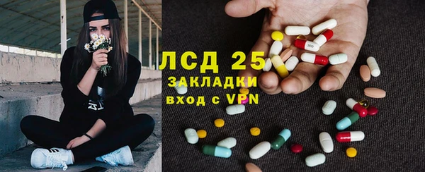 эйфоретик Баксан