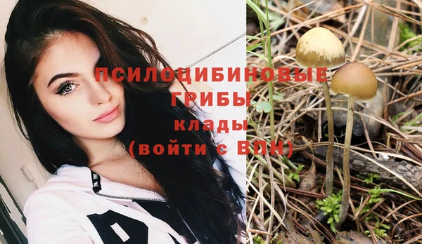 МДПВ Балахна